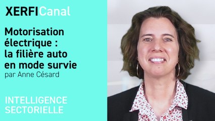 Motorisation électrique : la filière auto en mode survie [Anne Césard]