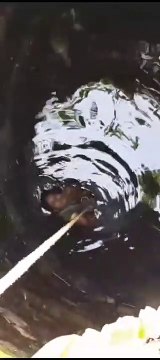 दहेज के लोभी पति ने पत्नी को रस्सी से कुएं में लटकाकर जान से मारने की धमकी का भेजा ससुराल वीडियो क्लिप