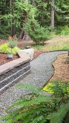 Befriending Orphaned Blacktail Deer and Their Reactions to My Elderly Chihuahua