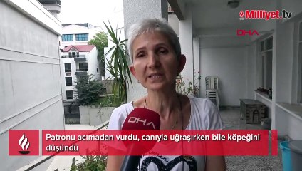 Patronu acımadan vurdu! 'Canıyla uğraşırken bile köpeğini düşündü'
