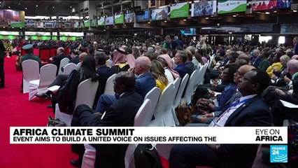 African leaders seek united front to press green growth goals