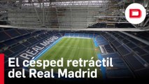 Así es el césped retráctil del Real Madrid