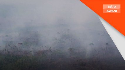 Kadar pembalakan di Amazon jatuh 66.11 peratus pada Ogos