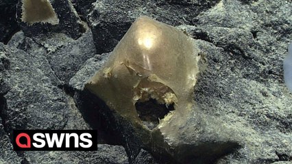Mysterious golden orb found at bottom of ocean - and scientists have no idea what it is