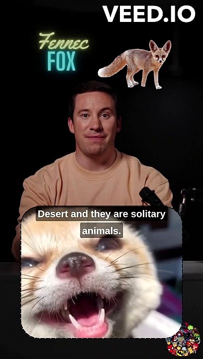 Fennec Foxes: The Ears of the Desert