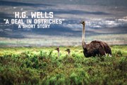 A DEAL IN OSTRICHES - A Short Story by H.G. WELLS