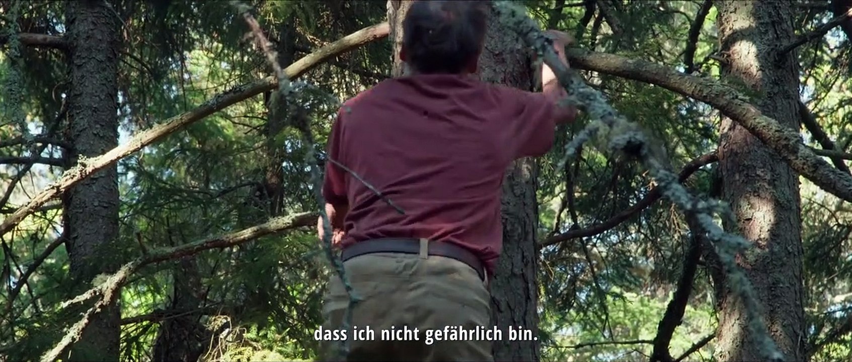 Krähen Trailer DF