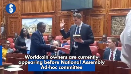 Worldcoin owners are currently appearing before National Assembly Ad-hoc committee