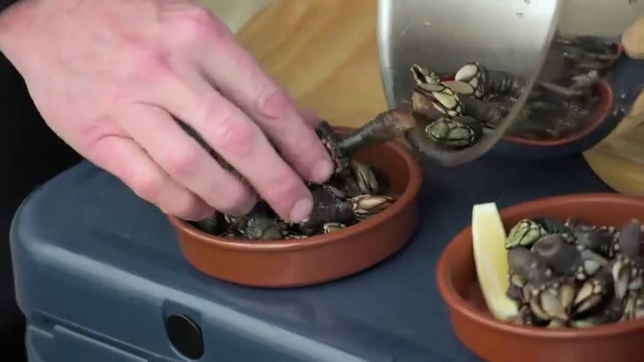 Gordon Gino & Fred Road Trip S04E02 Fiesta Forever