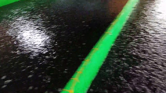 Budidaya Ikan Lele ,Bibit Ikan Lele Usia 1Bulan .siap Panen