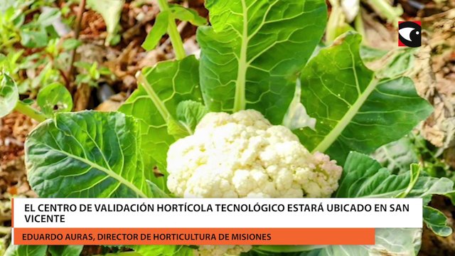 Misiones tendrá un Centro de Validación Hortícola para capacitar a productores y estudiantes: estará ubicado en San Vicente