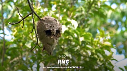 Retour à l’instinct primaire - 9 septembre