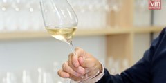 Vallée de la Loire : nos vins blancs coups de cœur de millésime 2021