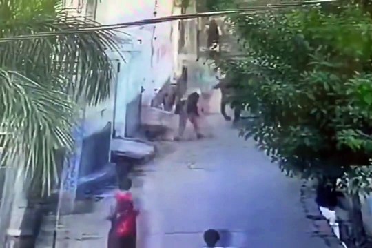 Video: स्कूल जा रही बच्ची को सांड ने पटका, कुत्ते ने बचा ली जान, वीडियो देख हैरान हो जाएंगे आप