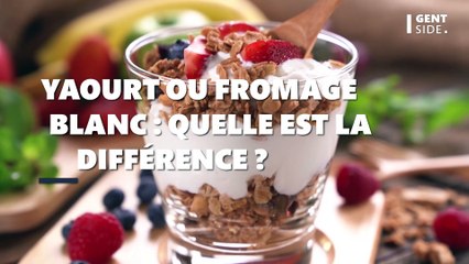 Quelle est la différence entre yaourt et fromage blanc ?