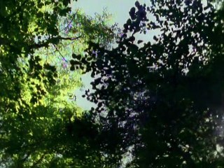 Goosebumps S01E14 It came from beneath the sink! in english