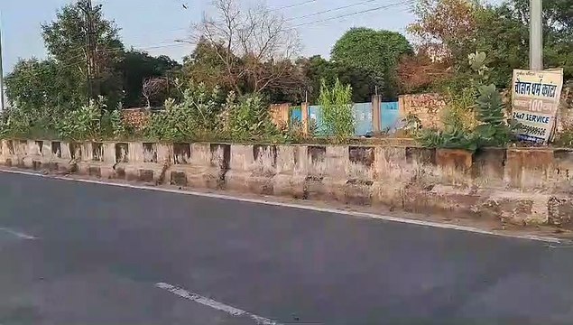 झाडिय़ों की सफाई में 34 लाख के टेंडर बेअसर