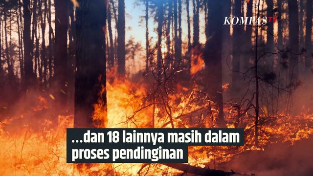 Inilah Deretan Titik Kebakaran Hutan dan Lahan yang Terjadi di Indonesia | SINAU
