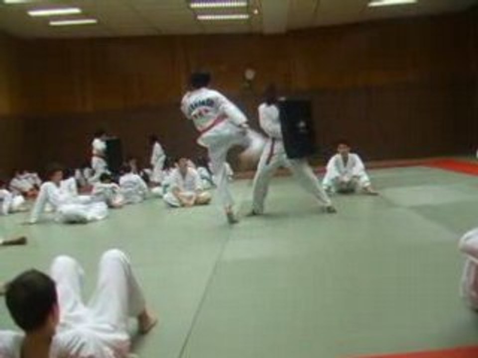 entrainement tkd