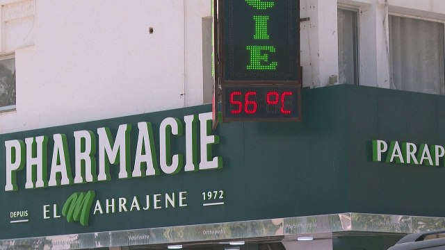 Las olas de calor generan una poción diabólica de contaminantes, alerta la ONU