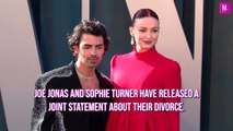 Joe Jonas and Sophie Turner Heading for Divorce