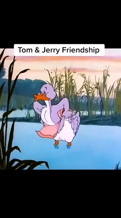 Duck Cartoon