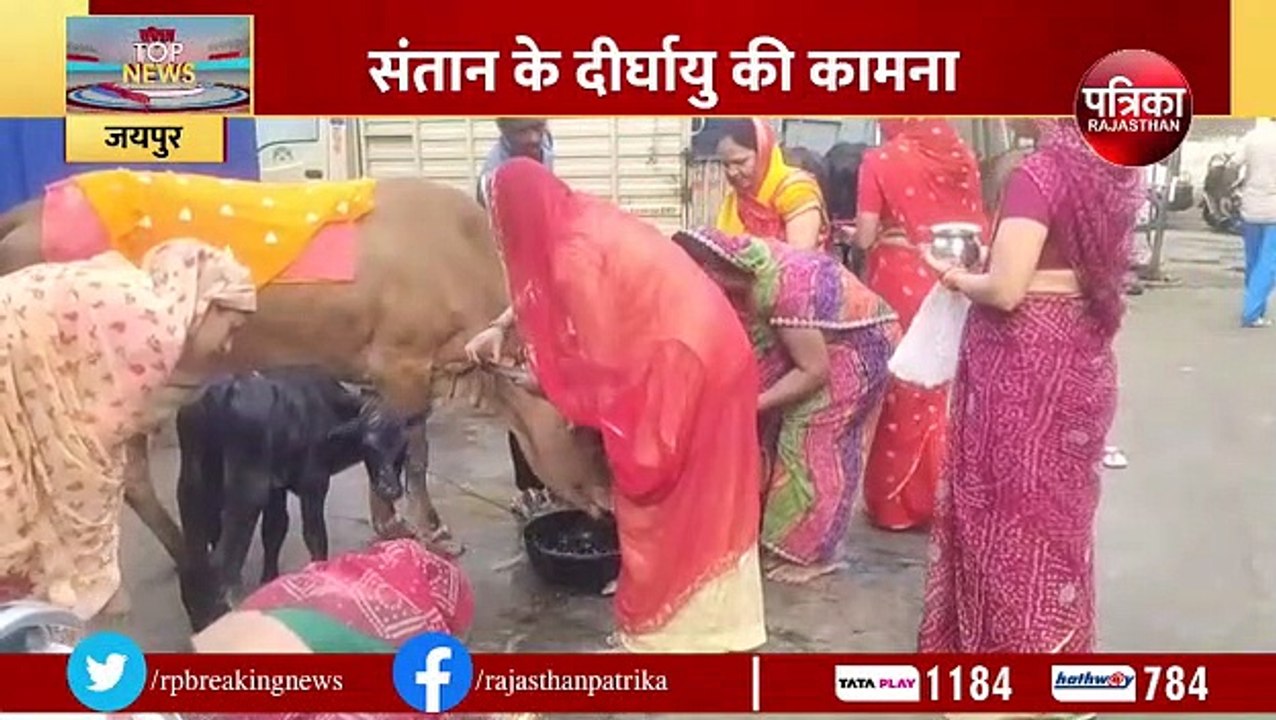 Bach Baras 2023: गाय व बछड़े का पूजन कर की संता...