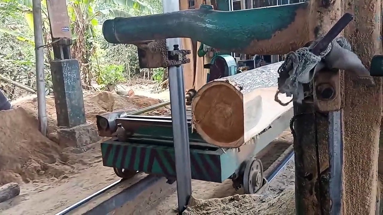 The process of sawing teak wood blocks in large quantities