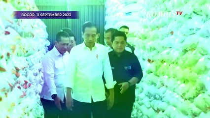 Jokowi Tegaskan Stok Beras Indonesia Aman di Tengah Fenomena El Nino, Ini Alasannya