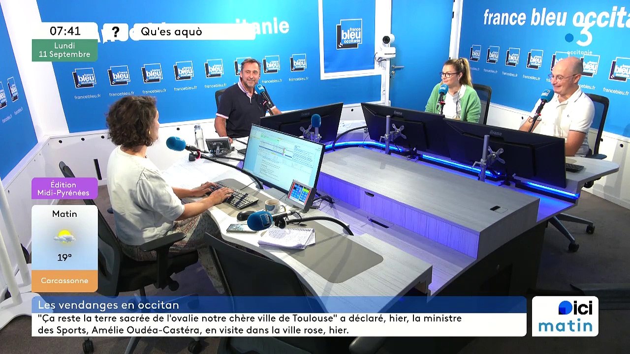 Qu'es aquò: les vendanges en occitan