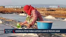 Kekeringan, Petani Tambak Alihfungsi Lahan Ke Produksi Garam