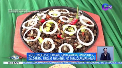 Mole crickets o camaru, ginagawang pininyahan, kaldereta, sisig at shanghai ng mga Kapampangan | BK