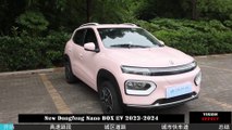 New Dongfeng Nano BOX EV 2023-2024