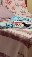 Rousing Slumbering Princess