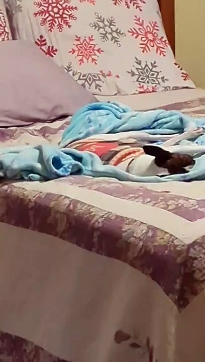 Rousing Slumbering Princess