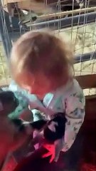 Sweet Little Girl Playing With Baby Goats   PETASTIC
