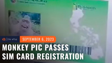 Monkey’s photo passes in SIM card registration in Philippines