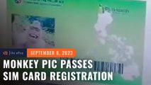 Monkey’s photo passes in SIM card registration in Philippines