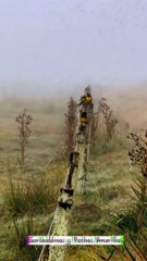 Aves del Uruguay - Garibaldinos y Pechos Amarillos