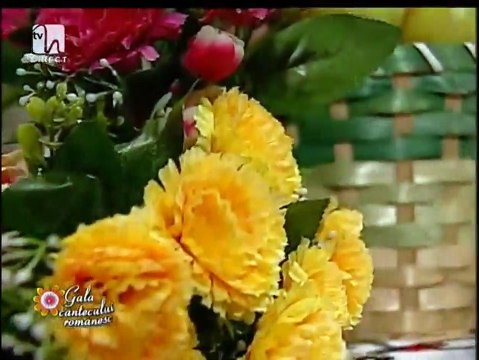 Ioan Chirila - Moment din spectacolul aniversar al interpretului - Tvh - 19.10.2014 (2)