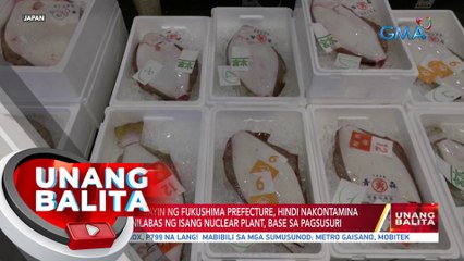 Mga isda sa baybayin ng Fukushima Prefecture, hindi nakontammina ng tubig na inilabas ng isang nuclear plant, base sa pagsusuri | UB