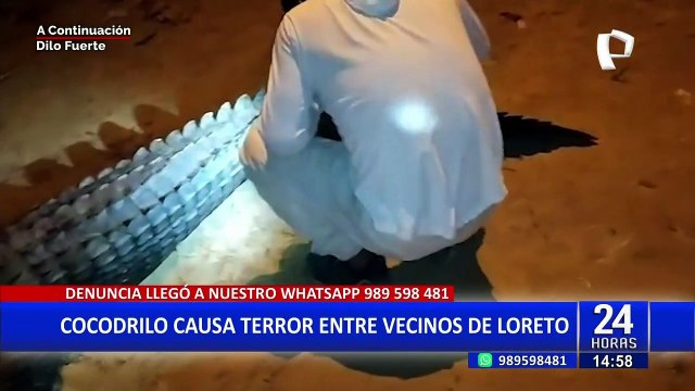 Loreto: pescador mata a cocodrilo que se escapo de río y asusto a los residentes