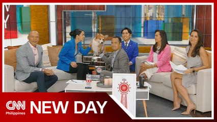 Corgi from PH wins at 2023 World Dog Show | New Day