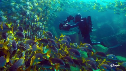 Au plus près des animaux avec Bertie Gregory | show | 2023 | Official Trailer