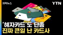 [자막뉴스] '그 돈 어떻게 구해?'...엎친 데 덮친 카드사 / YTN