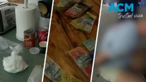Gold Coast drug bust ends in two arrests and hoards of cash seized