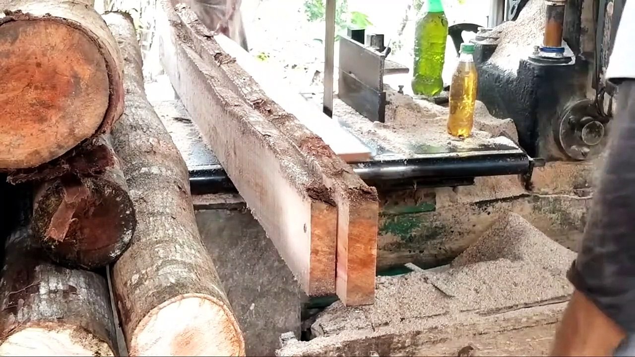 The sawing process of mahogany wood, even though it is crooked, is still a prima donna