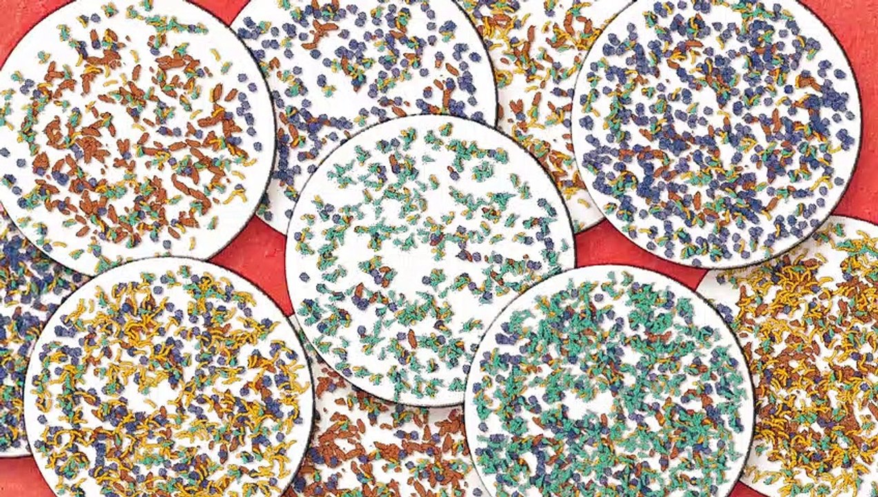 The intestinal microbiota