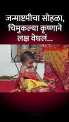 अमरावतीमध्ये जन्माष्टमी उत्साहात, चिमुकला कृष्ण चर्चेत