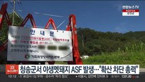 청송군서 야생멧돼지 ASF 발생…